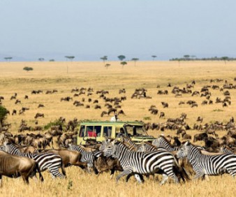 Group expeditions to Zimbabwe